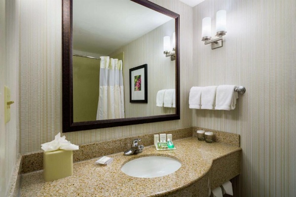 Hilton Garden Inn Queens/Jfk Airport image 13